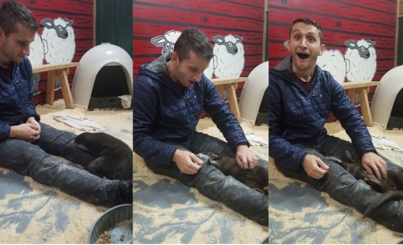 13 photos guaranteed to put a smile on your face 13 photos guaranteed to put a smile on your face