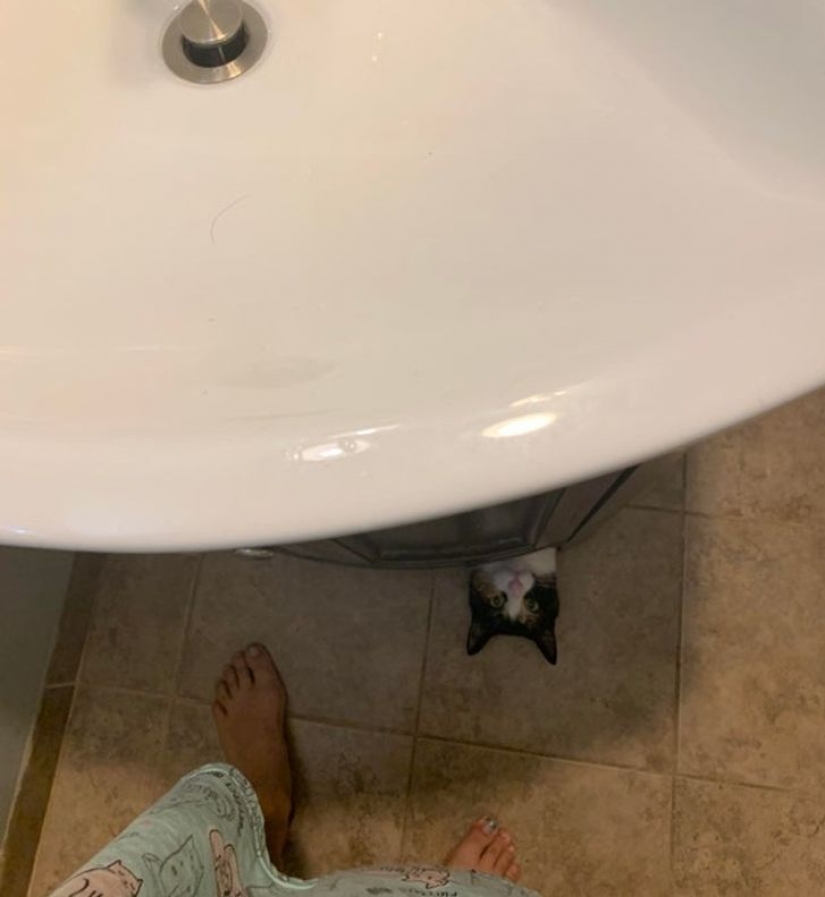 13 photos guaranteed to put a smile on your face 13 photos guaranteed to put a smile on your face