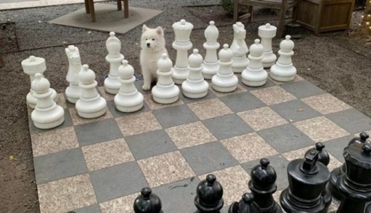 13 photos guaranteed to put a smile on your face