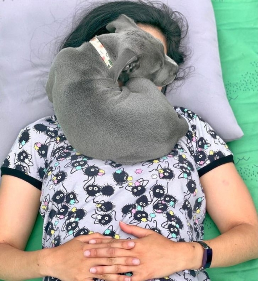 13 photos guaranteed to put a smile on your face 13 photos guaranteed to put a smile on your face