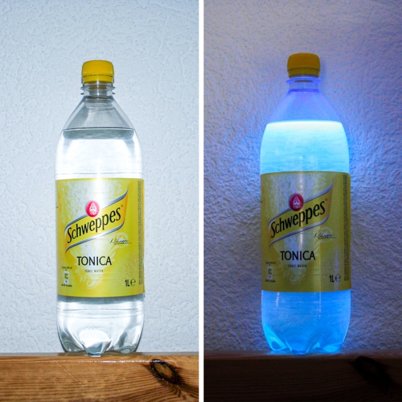 14 cosas que pierden su apariencia normal bajo la luz ultravioleta