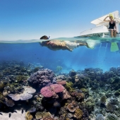 14 datos sobre Australia que lo más probable es que no sabía