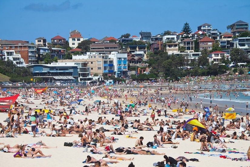 14 datos sobre Australia que lo más probable es que no sabía