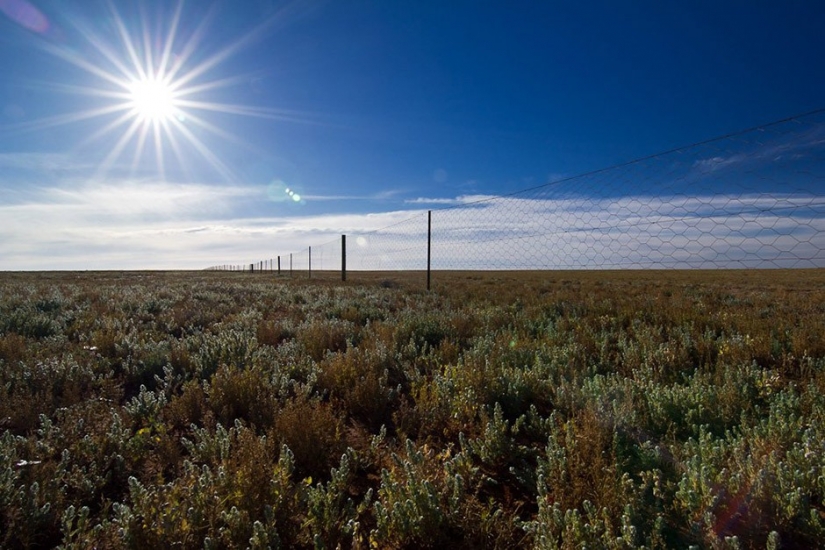 14 datos sobre Australia que lo más probable es que no sabía