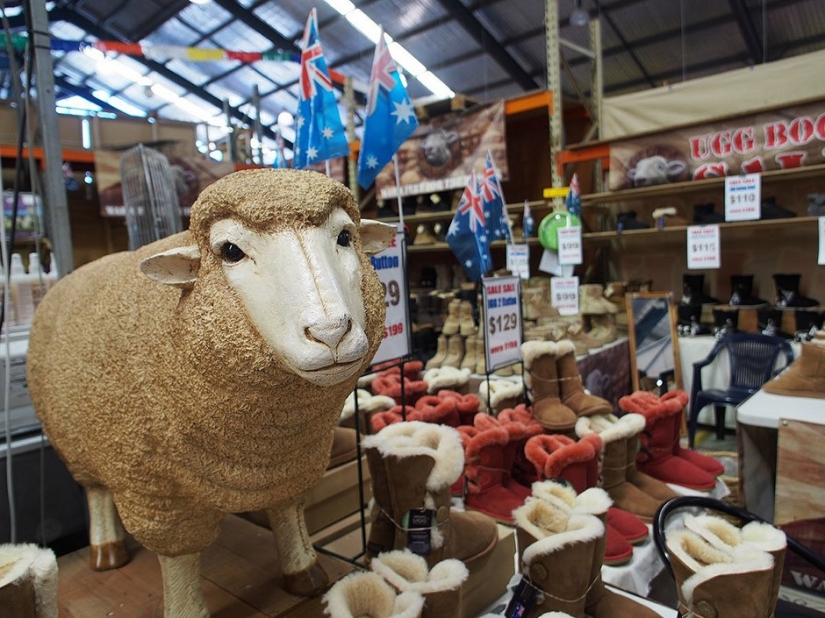 14 facts about Australia that you most likely didn't know