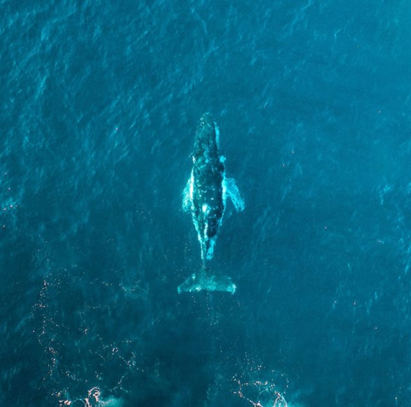 14 hechos sorprendentes y aterradores que la gente ha aprendido recientemente 14 hechos sorprendentes y aterradores que la gente ha aprendido recientemente