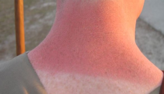 14 hechos sorprendentes y aterradores que la gente ha aprendido recientemente 14 hechos sorprendentes y aterradores que la gente ha aprendido recientemente