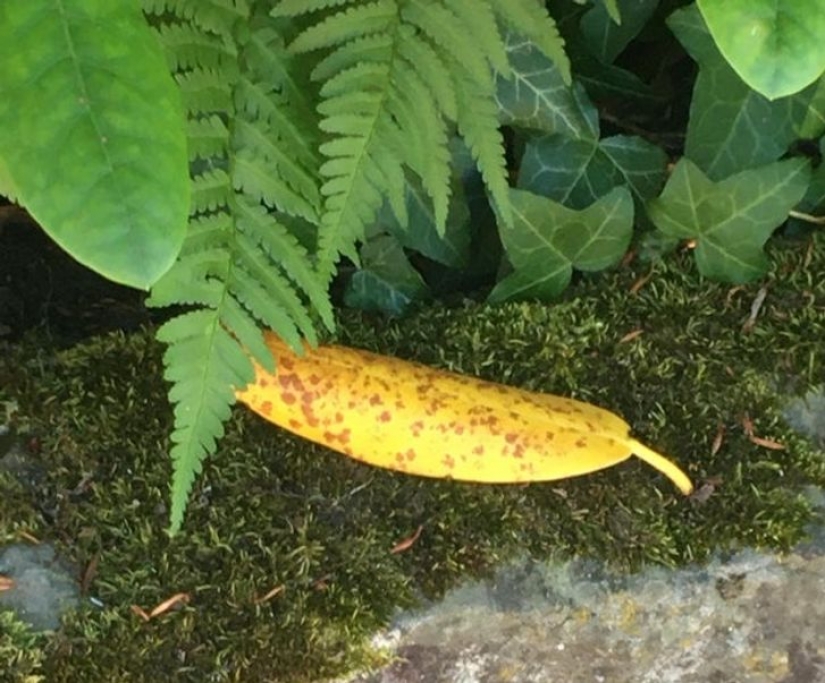 14 ocasiones en las que las cosas corrientes nos dijeron: "La vida es bella"