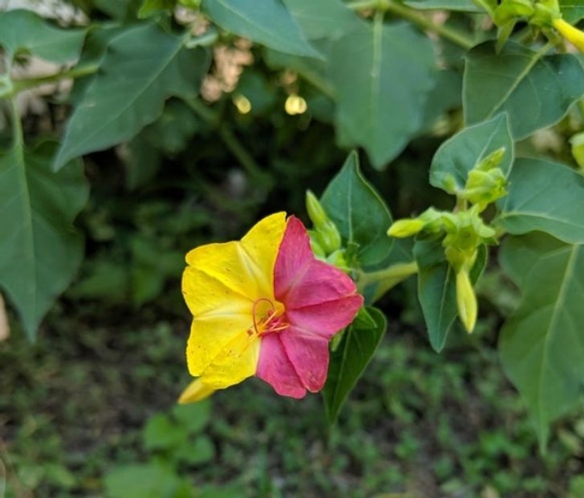 14 ocasiones en las que las cosas corrientes nos dijeron: "La vida es bella"