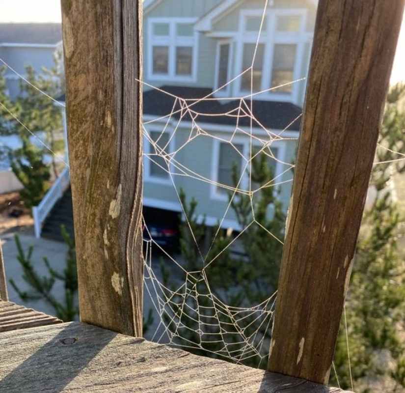 14 ocasiones en las que las cosas corrientes nos dijeron: "La vida es bella"