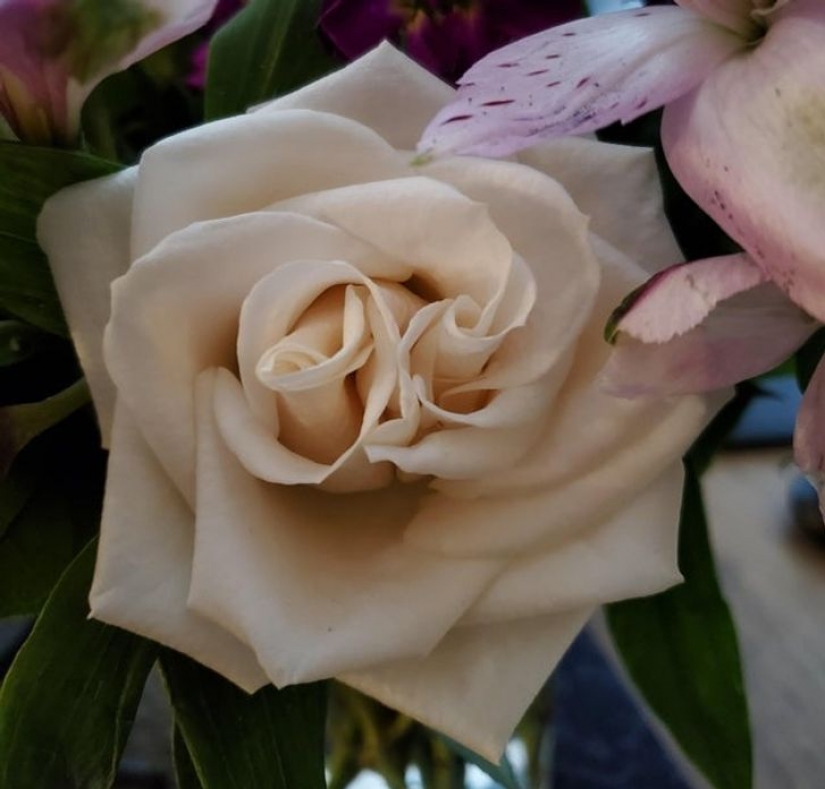 14 ocasiones en las que las cosas corrientes nos dijeron: "La vida es bella"