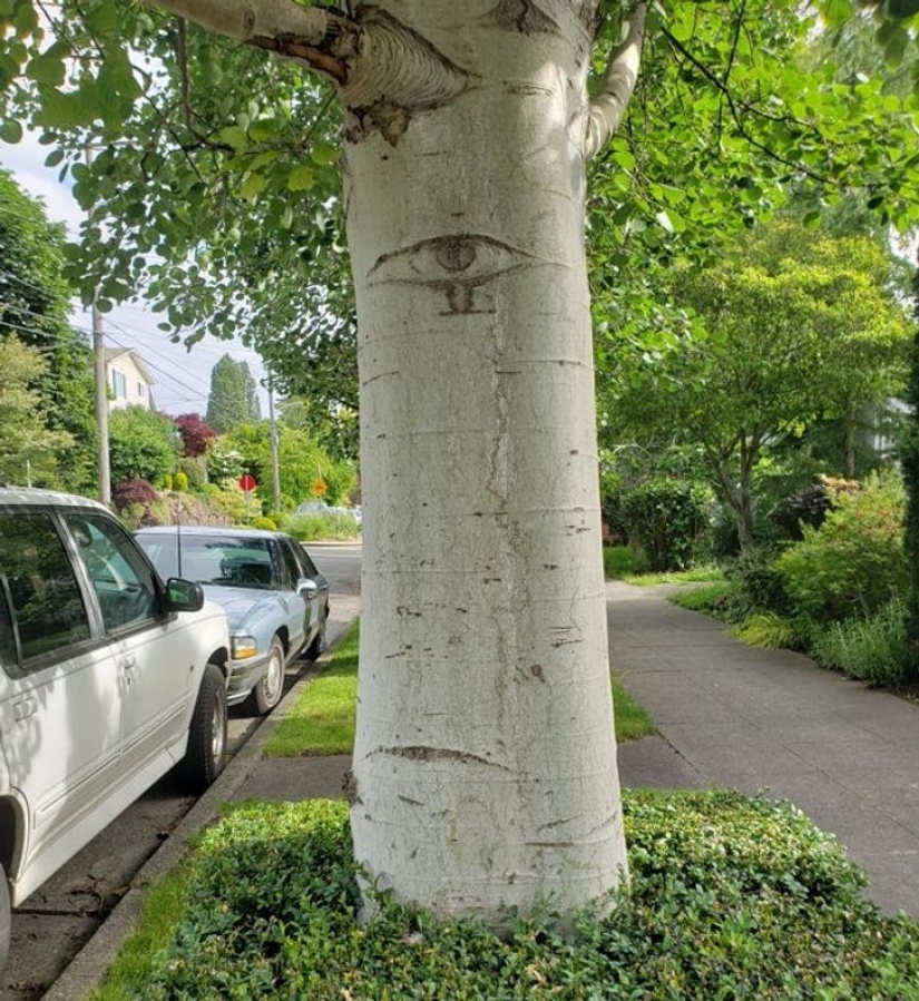 14 ocasiones en las que las cosas corrientes nos dijeron: "La vida es bella"