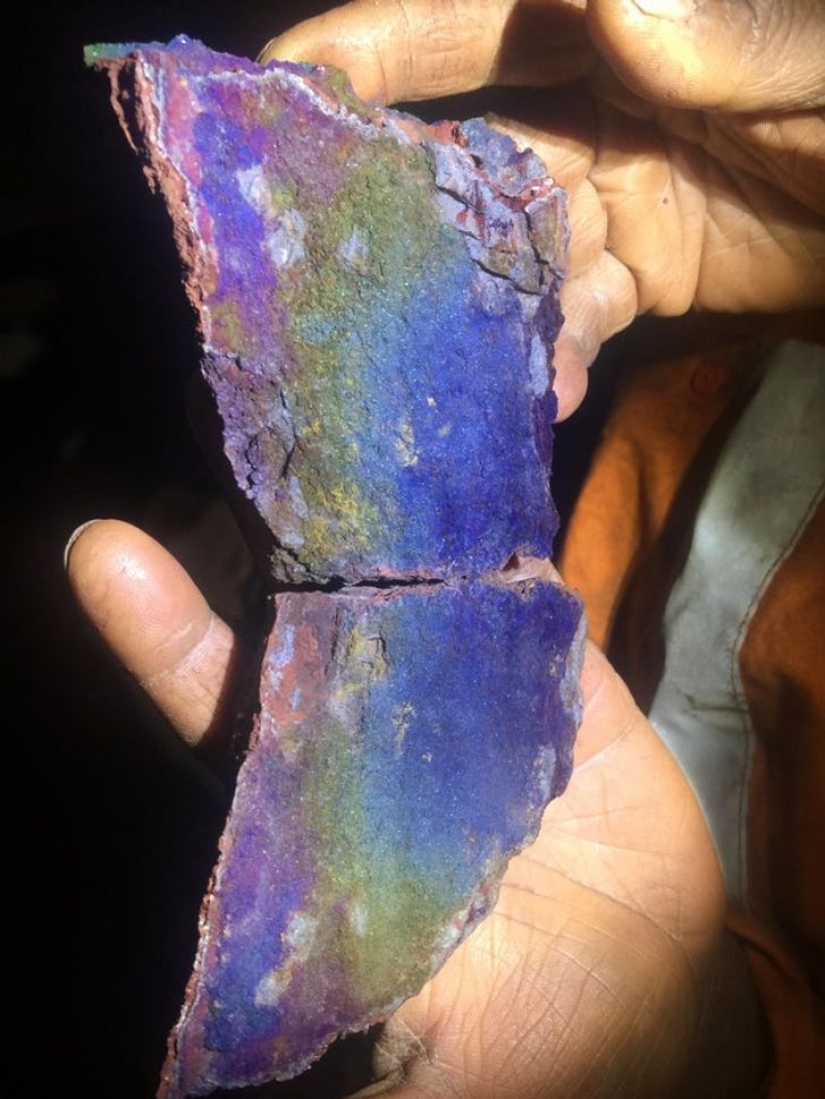 14 ocasiones en las que las cosas corrientes nos dijeron: "La vida es bella"