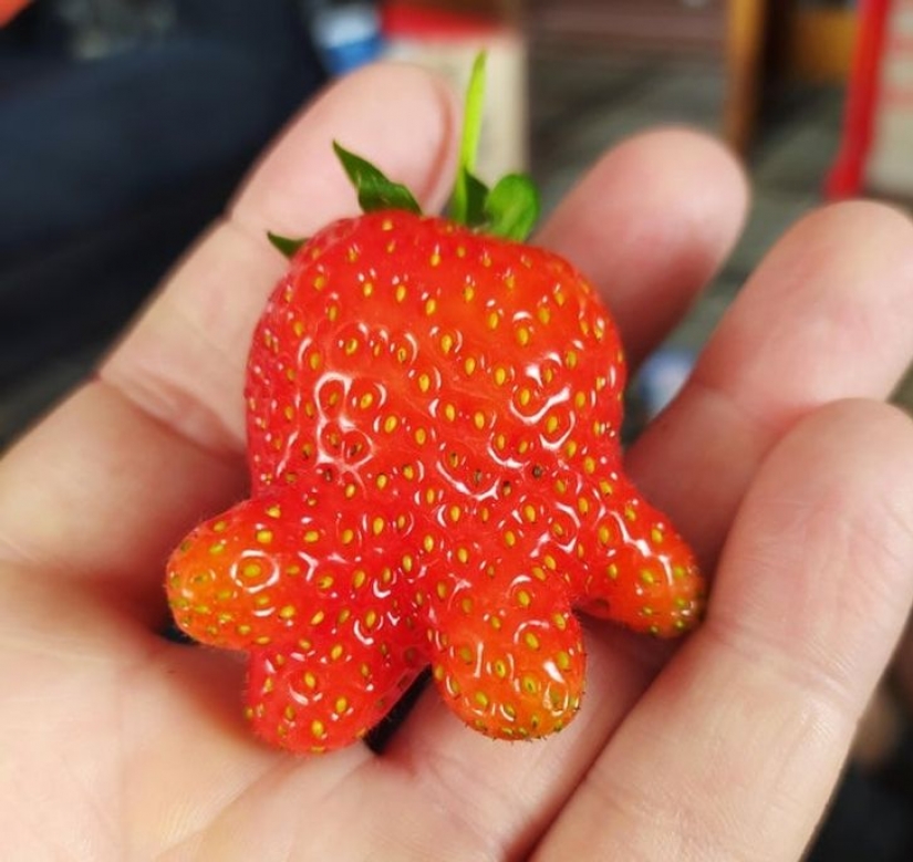 14 ocasiones en las que las cosas corrientes nos dijeron: "La vida es bella"