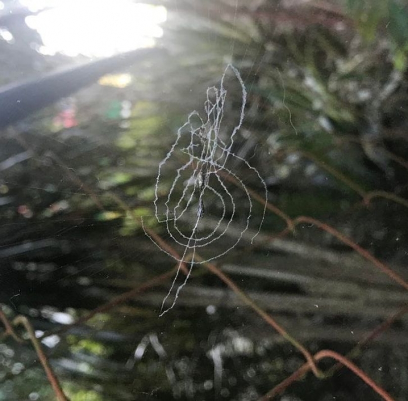 14 ocasiones en las que las cosas corrientes nos dijeron: "La vida es bella"