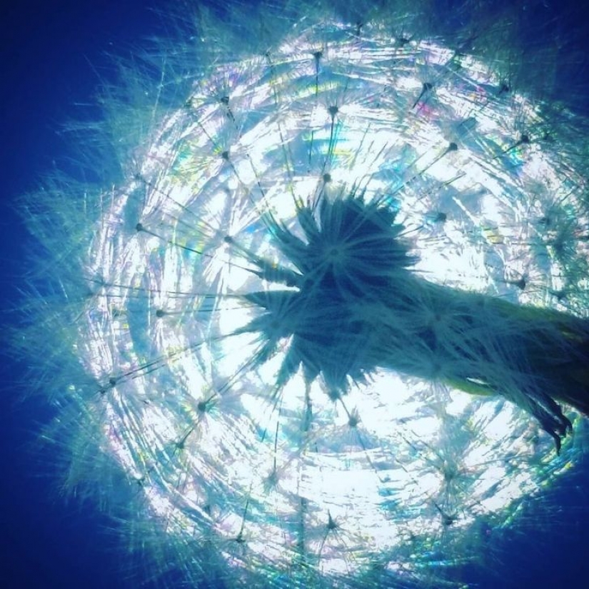 14 ocasiones en las que las cosas corrientes nos dijeron: "La vida es bella"