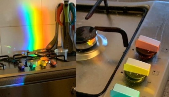 14 ocasiones en las que las cosas corrientes nos dijeron: "La vida es bella" 14 ocasiones en las que las cosas corrientes nos dijeron: "La vida es bella"