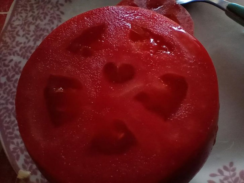 14 ocasiones en las que las cosas corrientes nos dijeron: "La vida es bella"