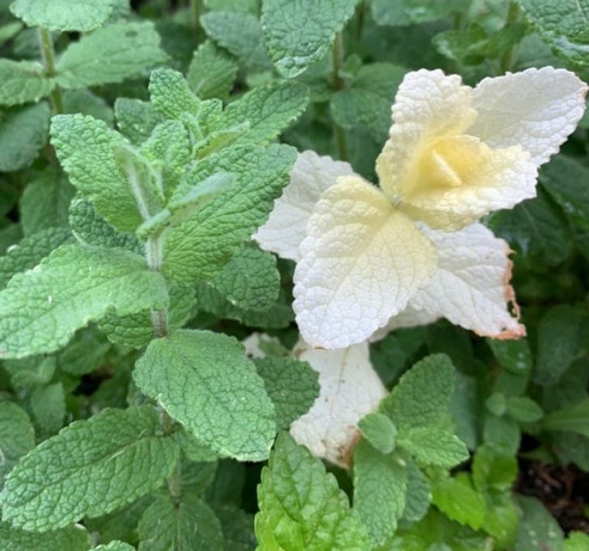 14 ocasiones en las que las cosas corrientes nos dijeron: "La vida es bella"