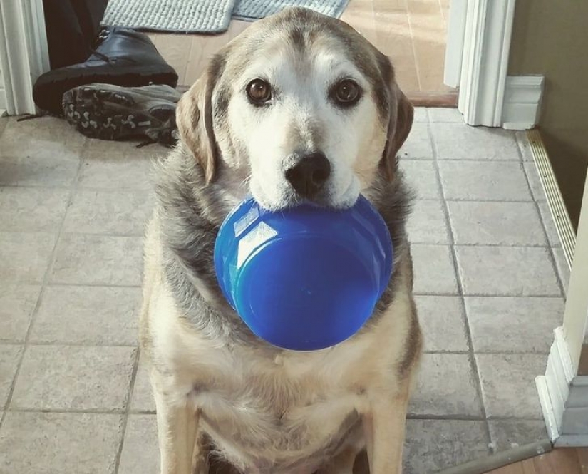 14 pets whose middle name is "drama" 14 pets whose middle name is "drama"