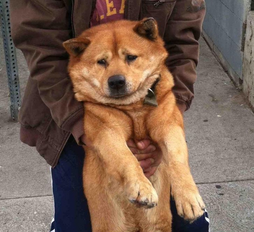 14 pets whose middle name is "drama" 14 pets whose middle name is "drama"