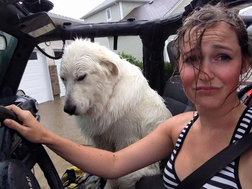 14 pets whose middle name is "drama" 14 pets whose middle name is "drama"