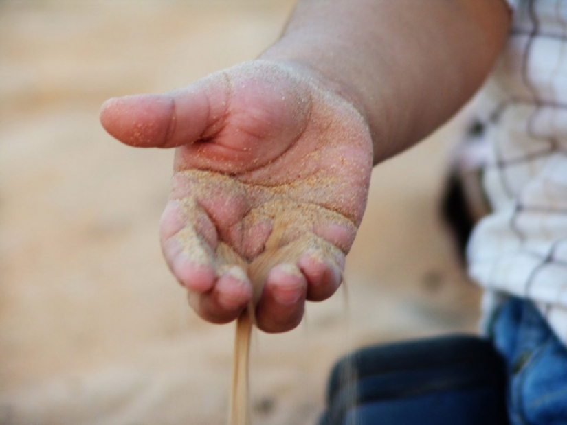 14 scientific facts that will force you to look at the world differently