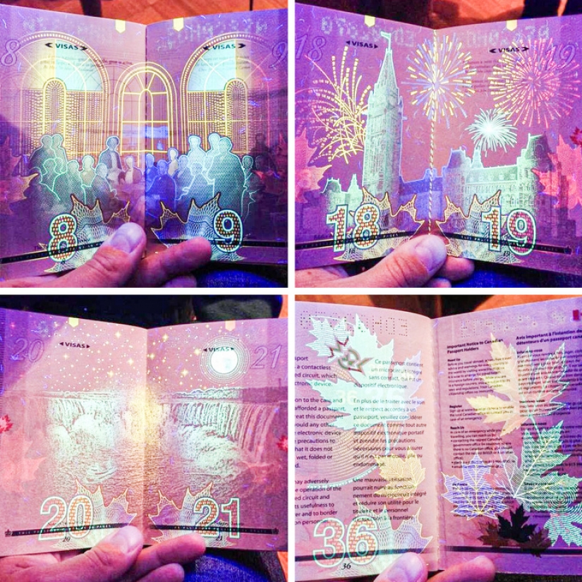 14 things that lose their normal appearance under ultraviolet light