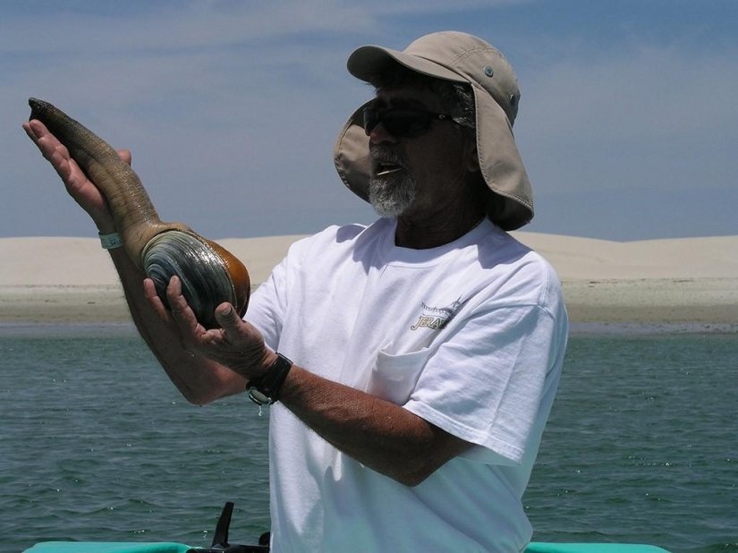 15 animales que son más viejos que sus abuelos