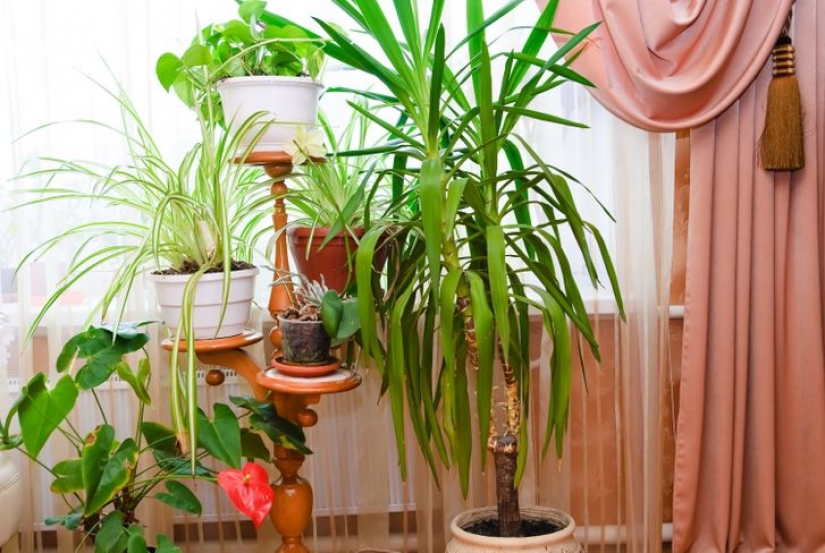 15 cosas que pueden hacer que cualquier apartamento parezca barato