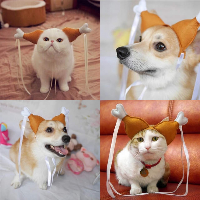 15 divertidos disfraces para mascotas de AliExpress
