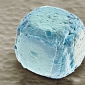 15 fascinantes fotos de productos bajo el microscopio