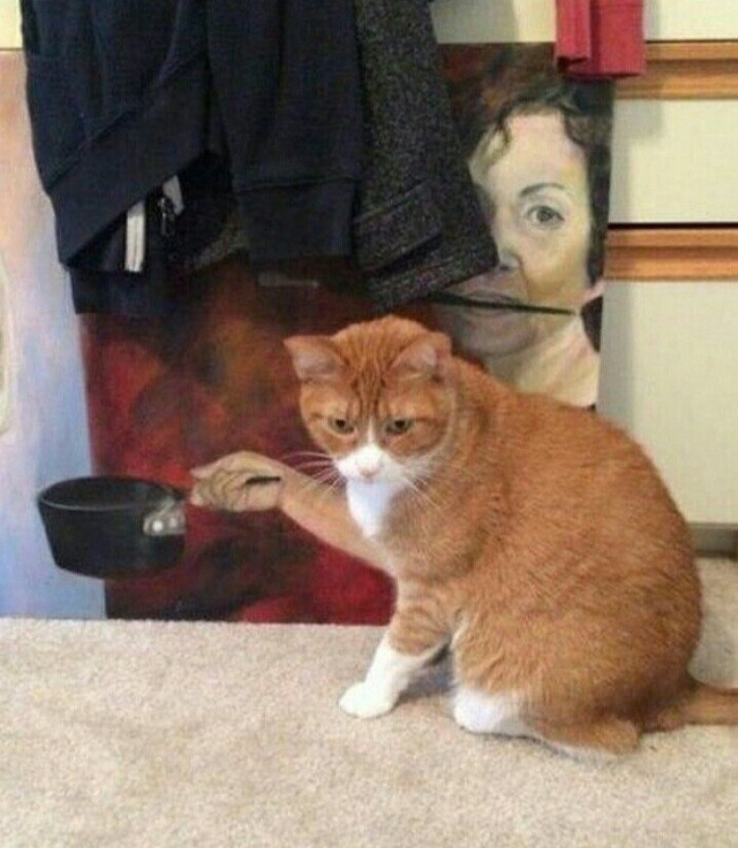 15 fotos que pueden engañarte más fácilmente que un mago 15 fotos que pueden engañarte más fácilmente que un mago