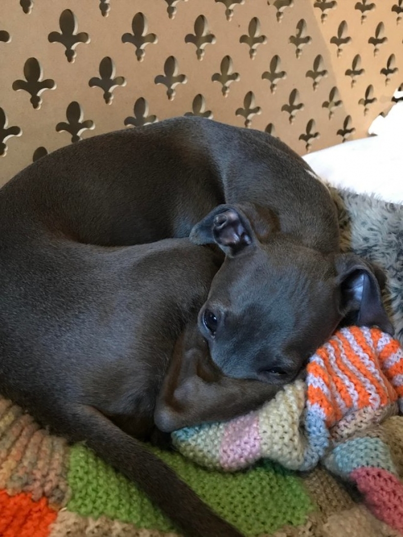 15 fotos que pueden engañarte más fácilmente que un mago 15 fotos que pueden engañarte más fácilmente que un mago