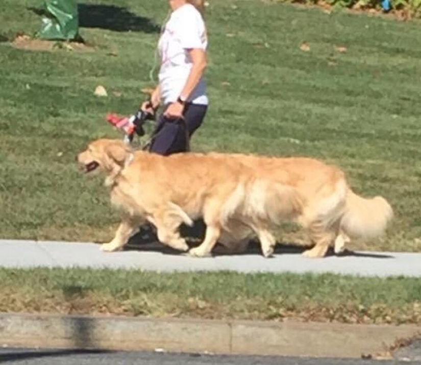 15 fotos que pueden engañarte más fácilmente que un mago 15 fotos que pueden engañarte más fácilmente que un mago