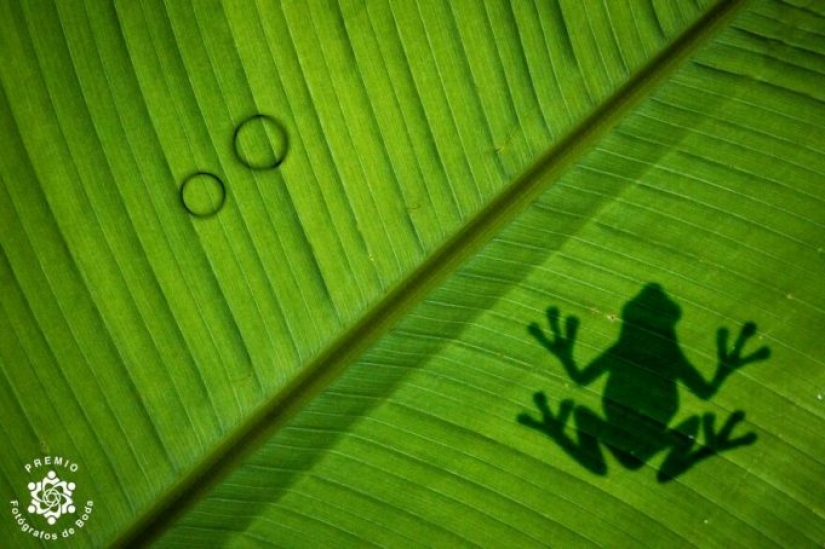 15 heartwarming wedding moments selected by FdB Awards 15 heartwarming wedding moments selected by FdB Awards