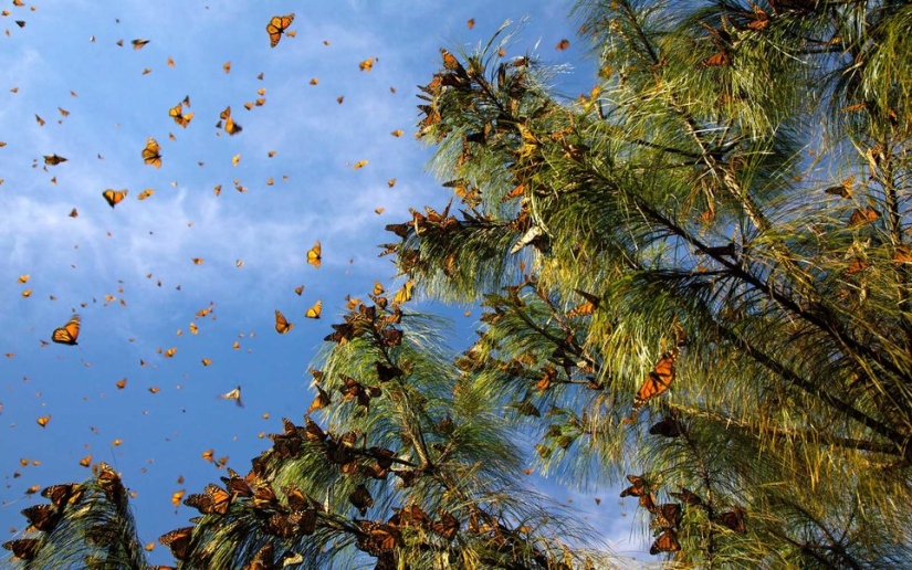 15 países con la naturaleza más bella