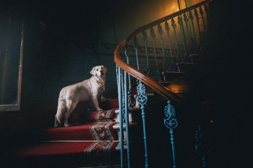 15 people who just wanted to be photographed but received a Renaissance masterpiece