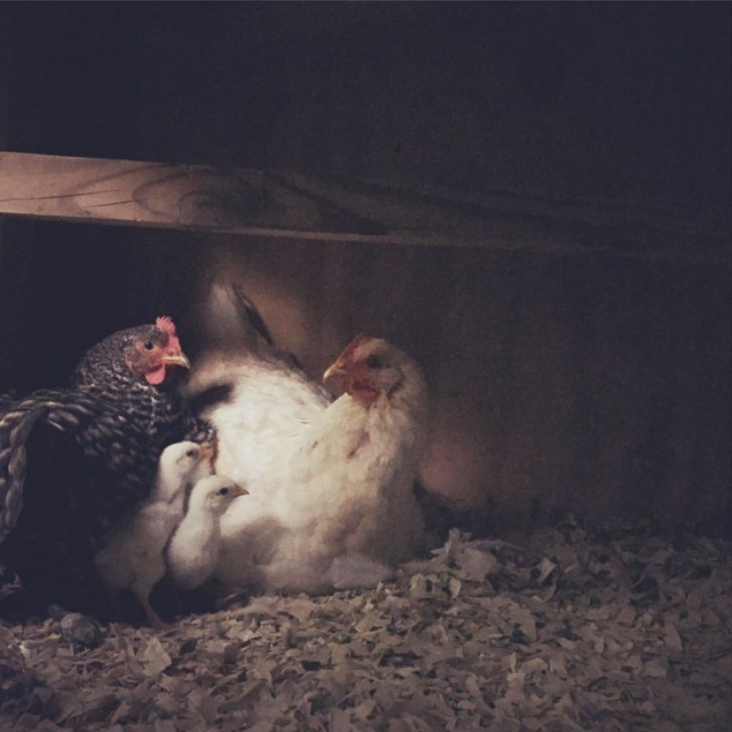 15 personas que solo querían ser fotografiadas pero recibieron una obra maestra del Renacimiento