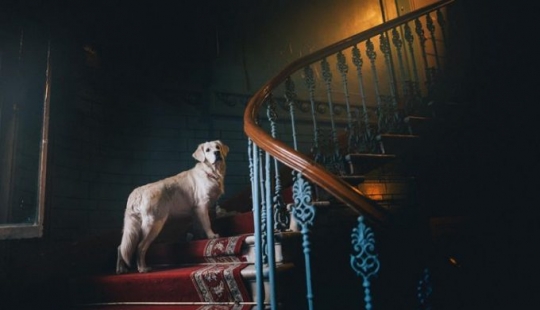 15 personas que solo querían ser fotografiadas pero recibieron una obra maestra del Renacimiento 15 personas que solo querían ser fotografiadas pero recibieron una obra maestra del Renacimiento