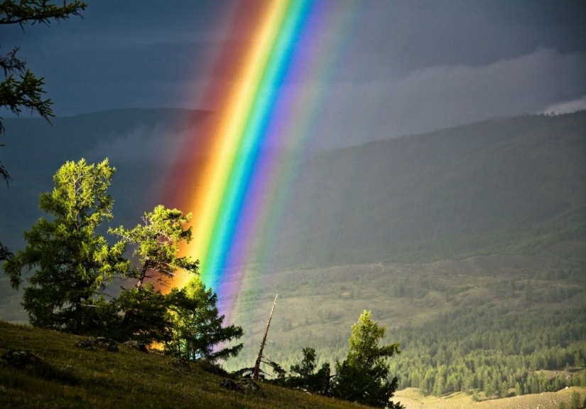 15 photos of wildlife, the most unknown thing on earth