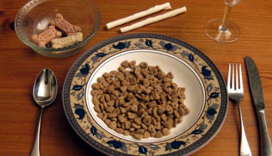 15 profesiones extrañas que pagan dinero muy real por ellos