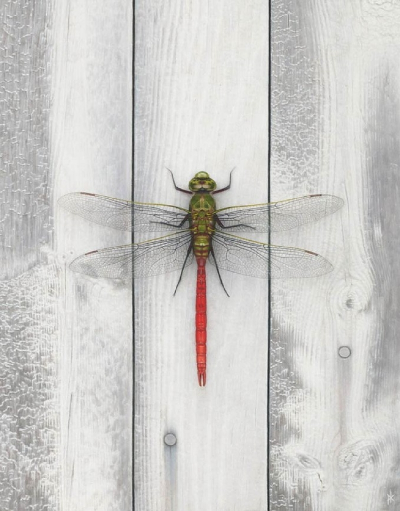 15 shockingly realistic paintings