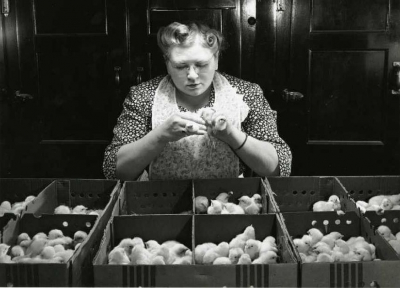 15 strange professions that pay very real money for them