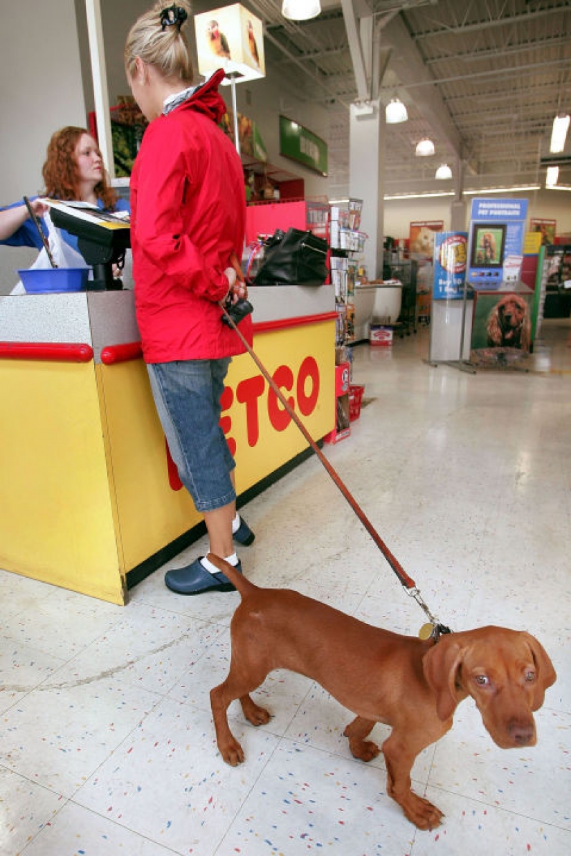 15 Terrible Black Friday Flops That Will Make You Hate the Sales