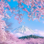 15 times people noticed something wonderful in nature and had to share it on the Internet