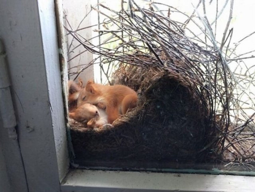 15 veces que las personas notaron algo maravilloso en la naturaleza y tuvieron que compartirlo en Internet