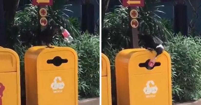 15 veces que las personas notaron algo maravilloso en la naturaleza y tuvieron que compartirlo en Internet