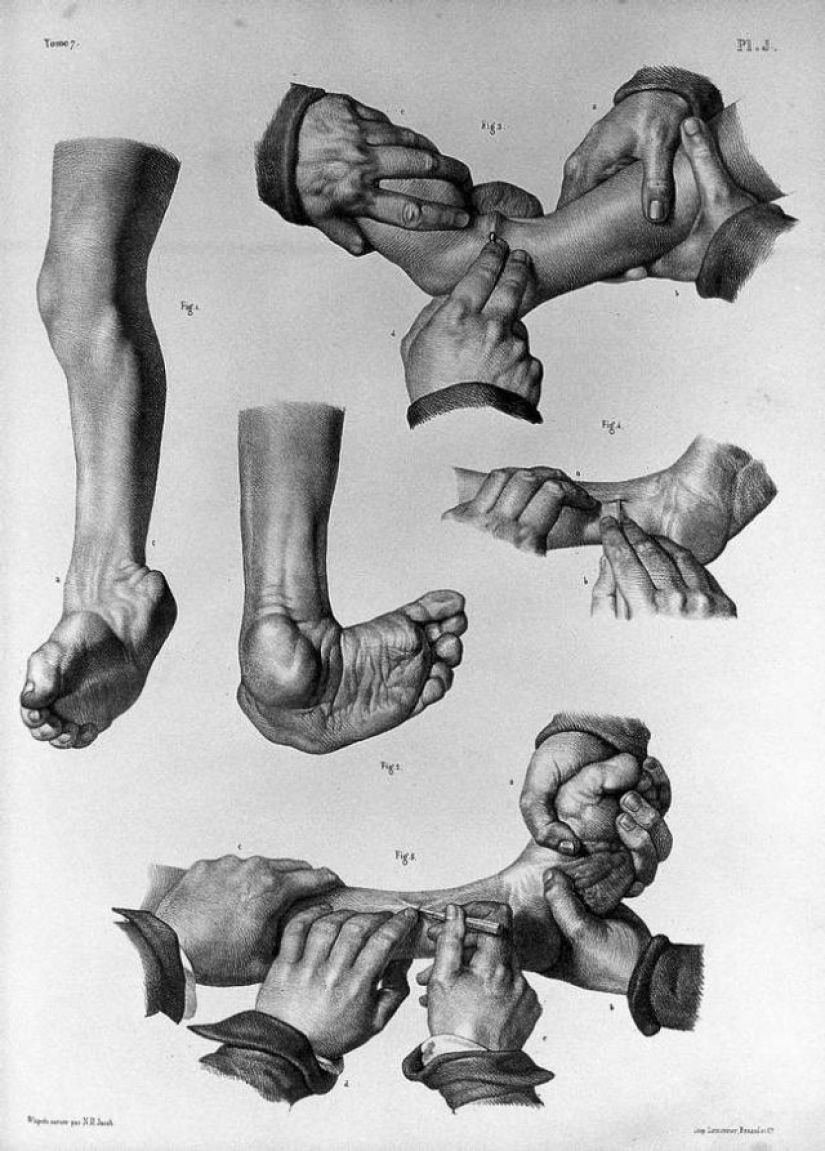 16 hechos extraños sobre Tutankamón