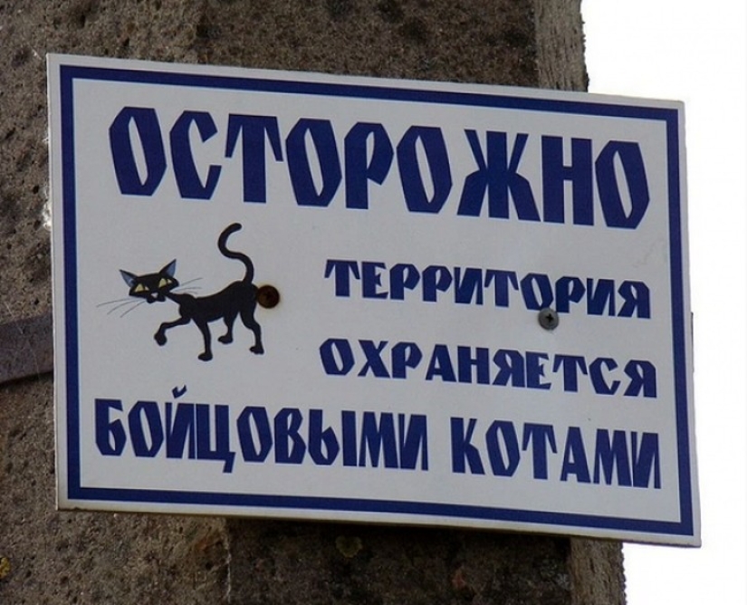 16 plates from the owners with a great sense of humor